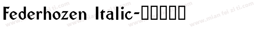 Federhozen Italic字体转换